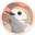 Halloy logo